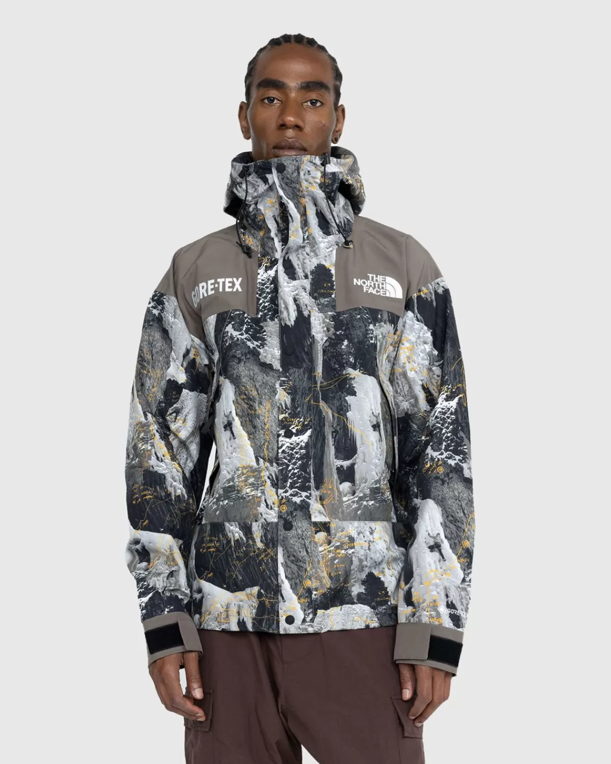 Bovenkleding^The North Face Gore-Tex Bergjas Falcon Brown Conrads Notes Print