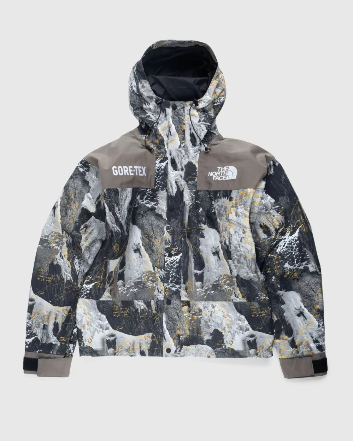 Bovenkleding^The North Face Gore-Tex Bergjas Falcon Brown Conrads Notes Print