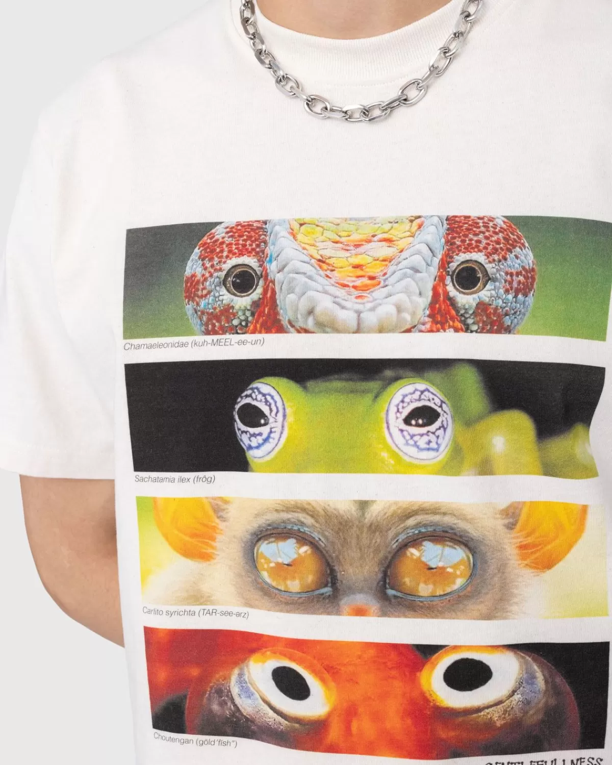 zachte_volheid_gerecycled_katoen_animal_eyes_tshirt_beige_3.webp Gentle Fullness Zachte Volheid Gerecycled Katoen Animal Eyes T-Shirt Beige Cheap
