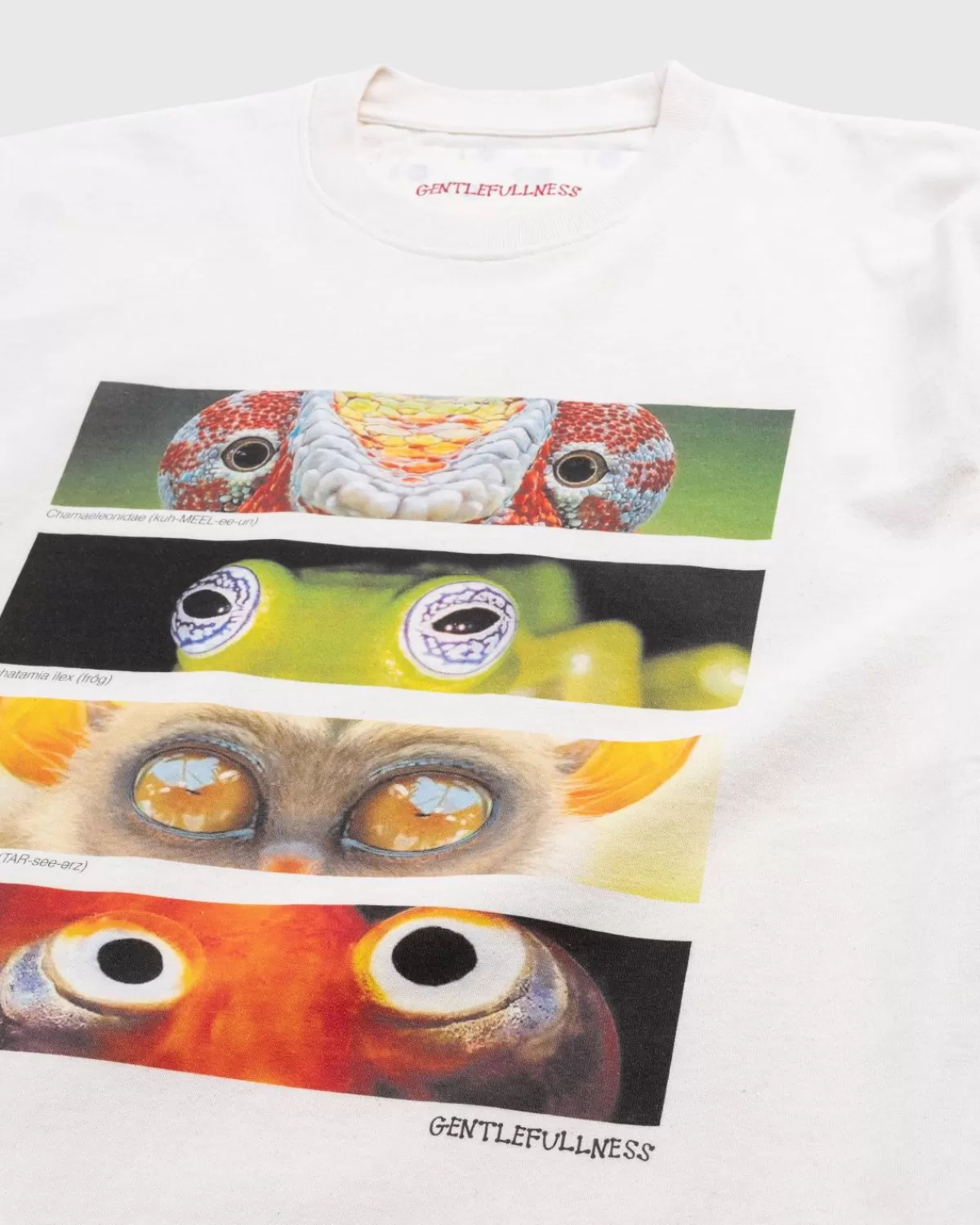zachte_volheid_gerecycled_katoen_animal_eyes_tshirt_beige_4.webp Gentle Fullness Zachte Volheid Gerecycled Katoen Animal Eyes T-Shirt Beige Cheap